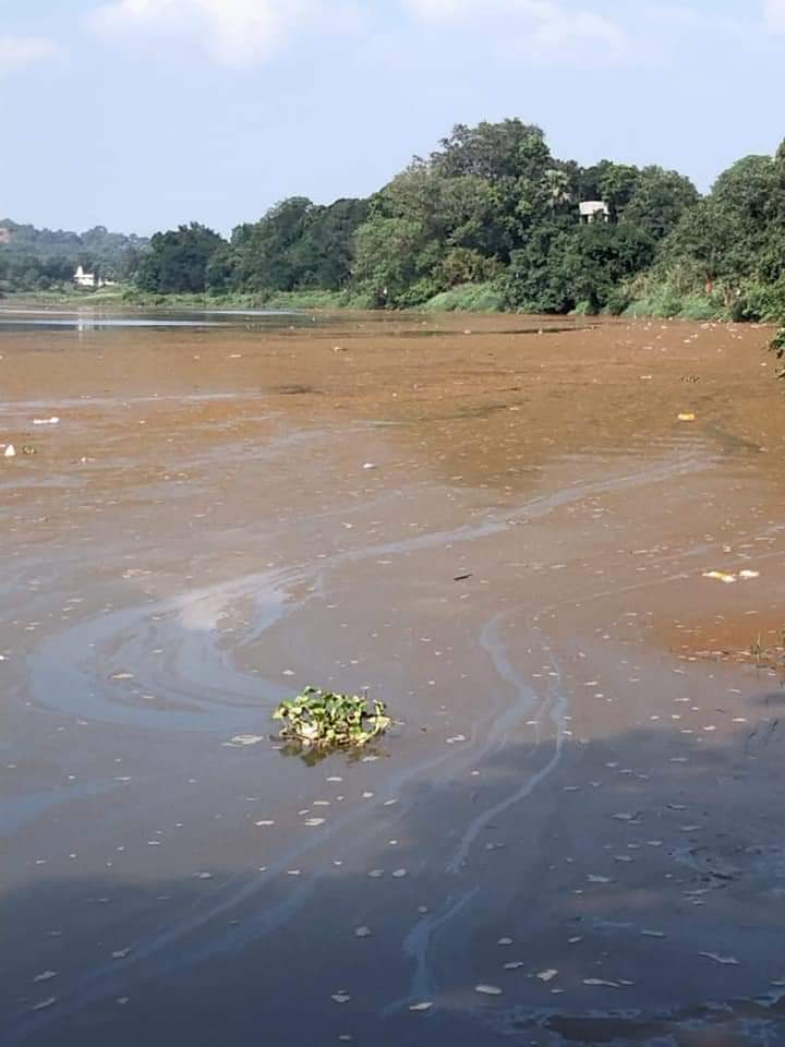 कल्याण डोंबिवलीकरांनो पाणी उकळून प्या; उल्हासनदीत मोठ्या प्रमाणावर प्रदूषण